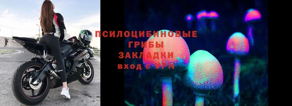 стаф Алексин