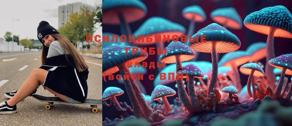 стаф Алексин