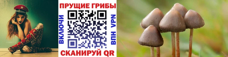 цена наркотик  Краснообск  Псилоцибиновые грибы Magic Shrooms 
